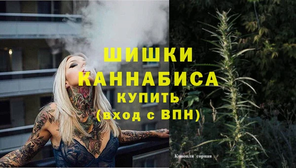 скорость Няндома