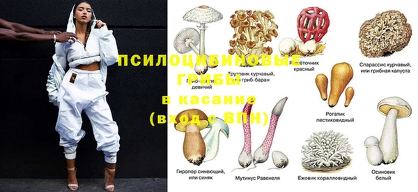 прущие крисы Осташков