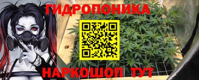 прущие грибы Аргун