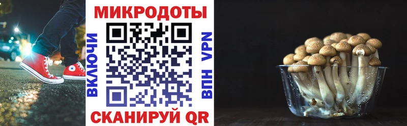 продажа наркотиков  Ейск  Галлюциногенные грибы мицелий 