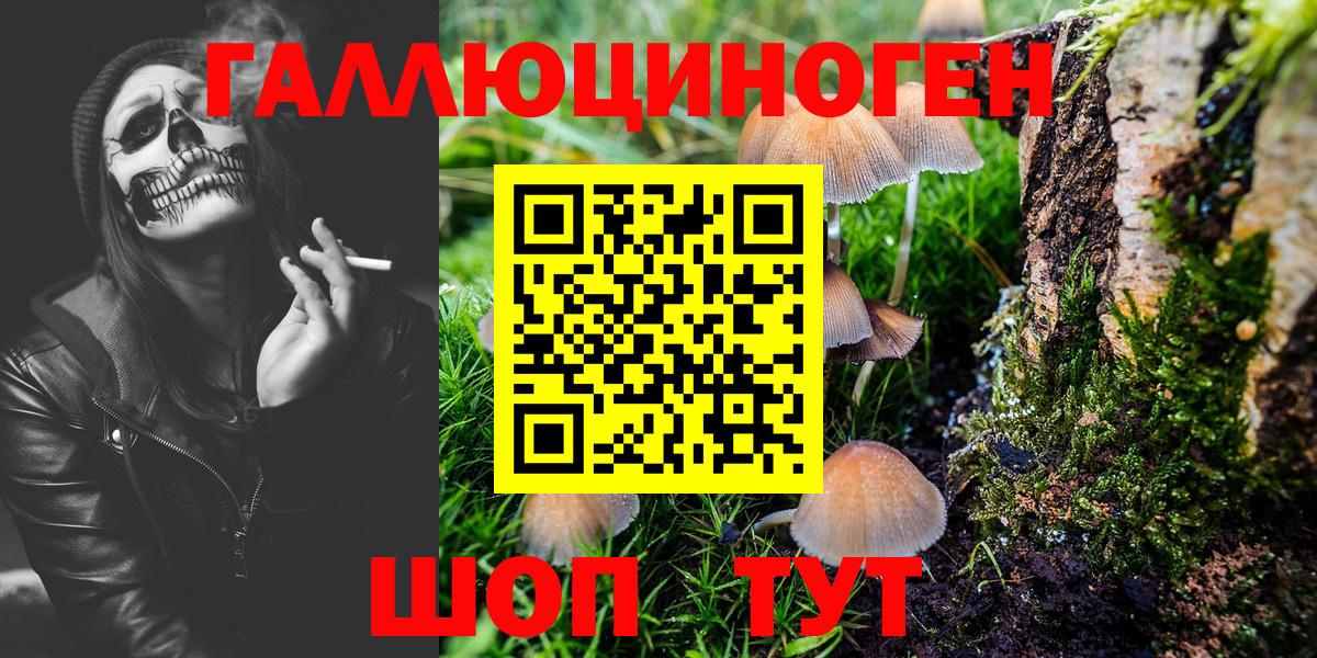 Галлюциногенные грибы Psilocybine cubensis Ейск