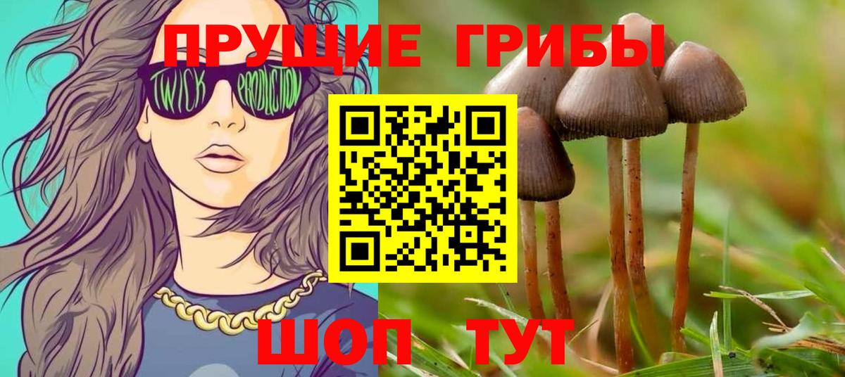 Галлюциногенные грибы Psilocybe  купить   Ейск 